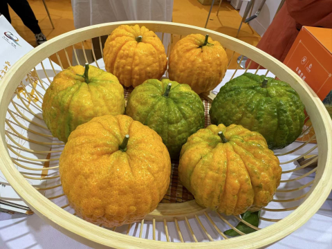 苹果和梨价格持续走低，出口量有望达到这个数……